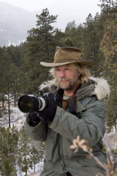 Steve Krull Profile