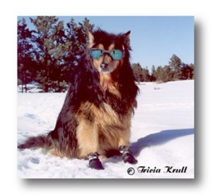 1937114_1183946444851_6660632_n