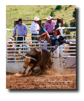 Bull Riders at the Top of the World Rodeo in Cripple Creek, Colorado