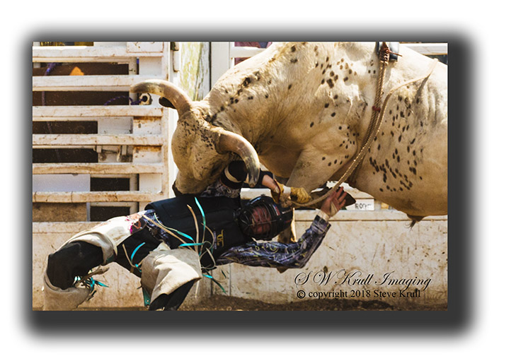 Bull Riders at the Top of the World Rodeo