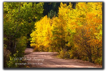 Phantom Canyon Drive in Autumn