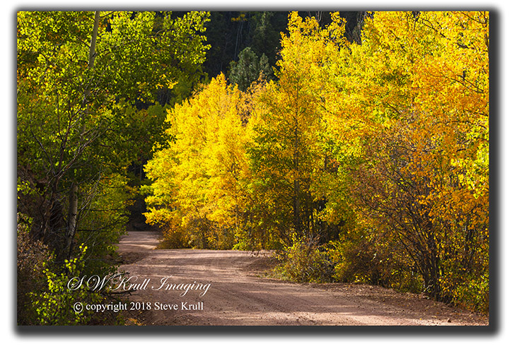 Phantom Canyon Drive in Autumn