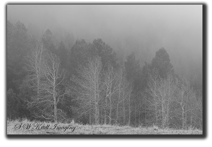 Misty Mountain Wilderness