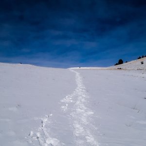 Deep Colorado Mountain Snow