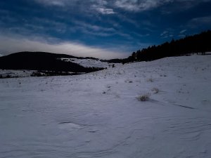 Snowy Colorado Sunrise 