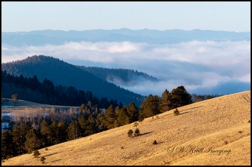 Fog in the Sangre de Cristo