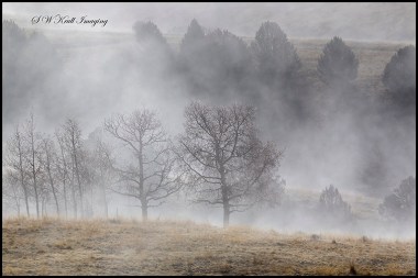 Ghostly Figures in Foggy Mine Country