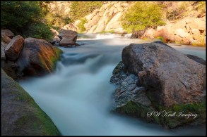 Whitewater in Eleven Mile Canyon on the South Platte River