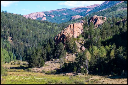 Gold Camp Road Scenery