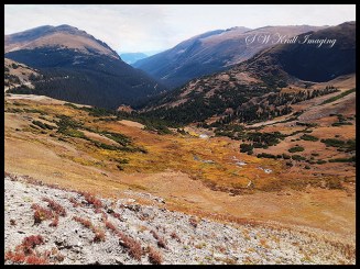 Summit on Trail Ridge Road