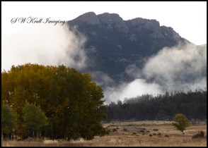 Cold Foggy Morning in Moraine Park