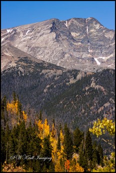 Autumn on Trail Ridge Road