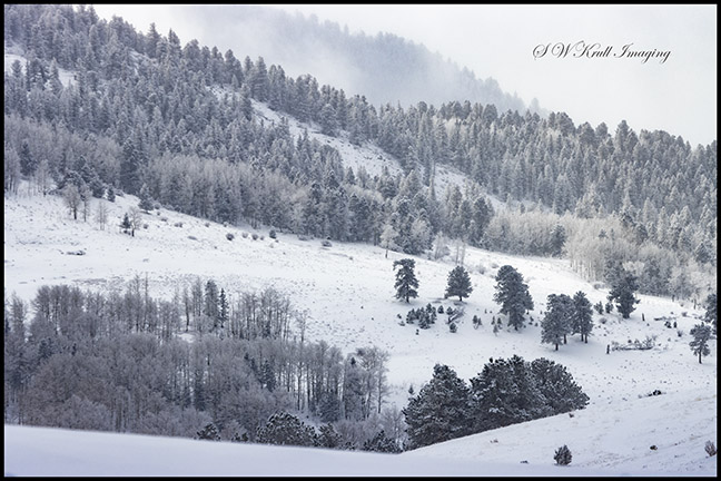 Heavy Snow in the Colorado Rockies