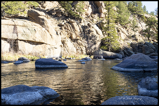 Springtime in Eleven Mile Canyon