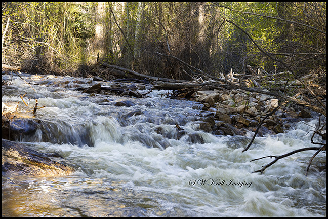 Rocky Mountain Whitewater
