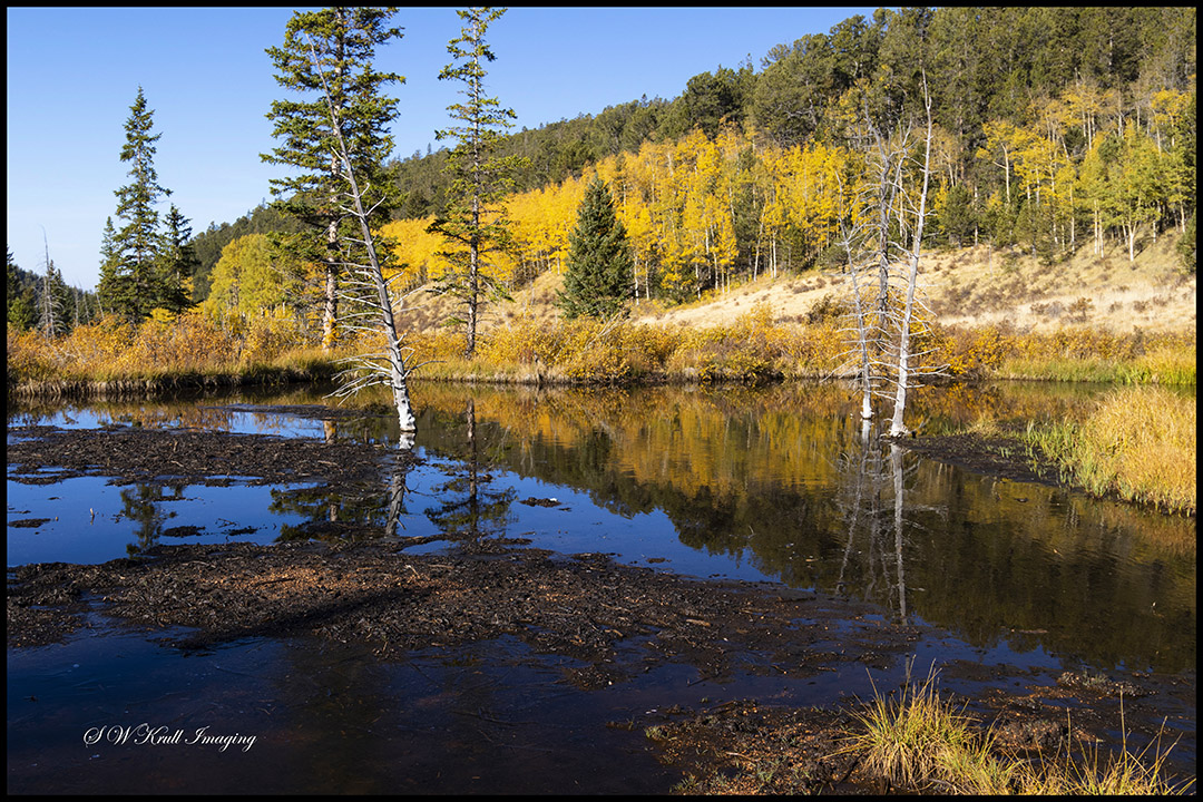 Autumn on Anne-Marie Falls Trail