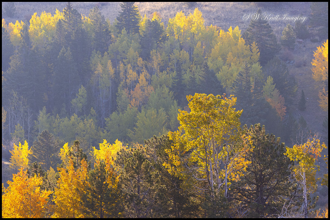 Fall Colors in the Rockies