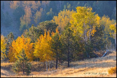 Fall Colors in the Rockies