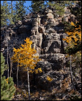 Pony Gulch Trail in Autumn