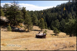 Pony Gulch Homestead Trail in Autumn