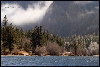 Fog and Frost at Cottonwood Lake Colorado