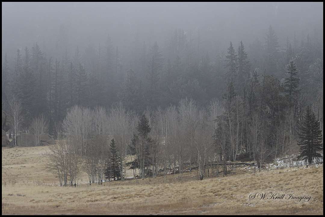 Scenery in Eleven Mile State Park