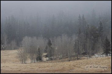 Scenery in Eleven Mile State Park