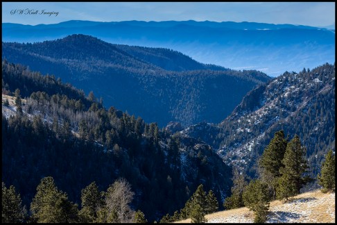 Pike National Forest Scenery
