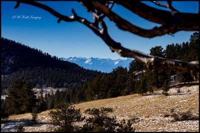Pike National Forest Scenery