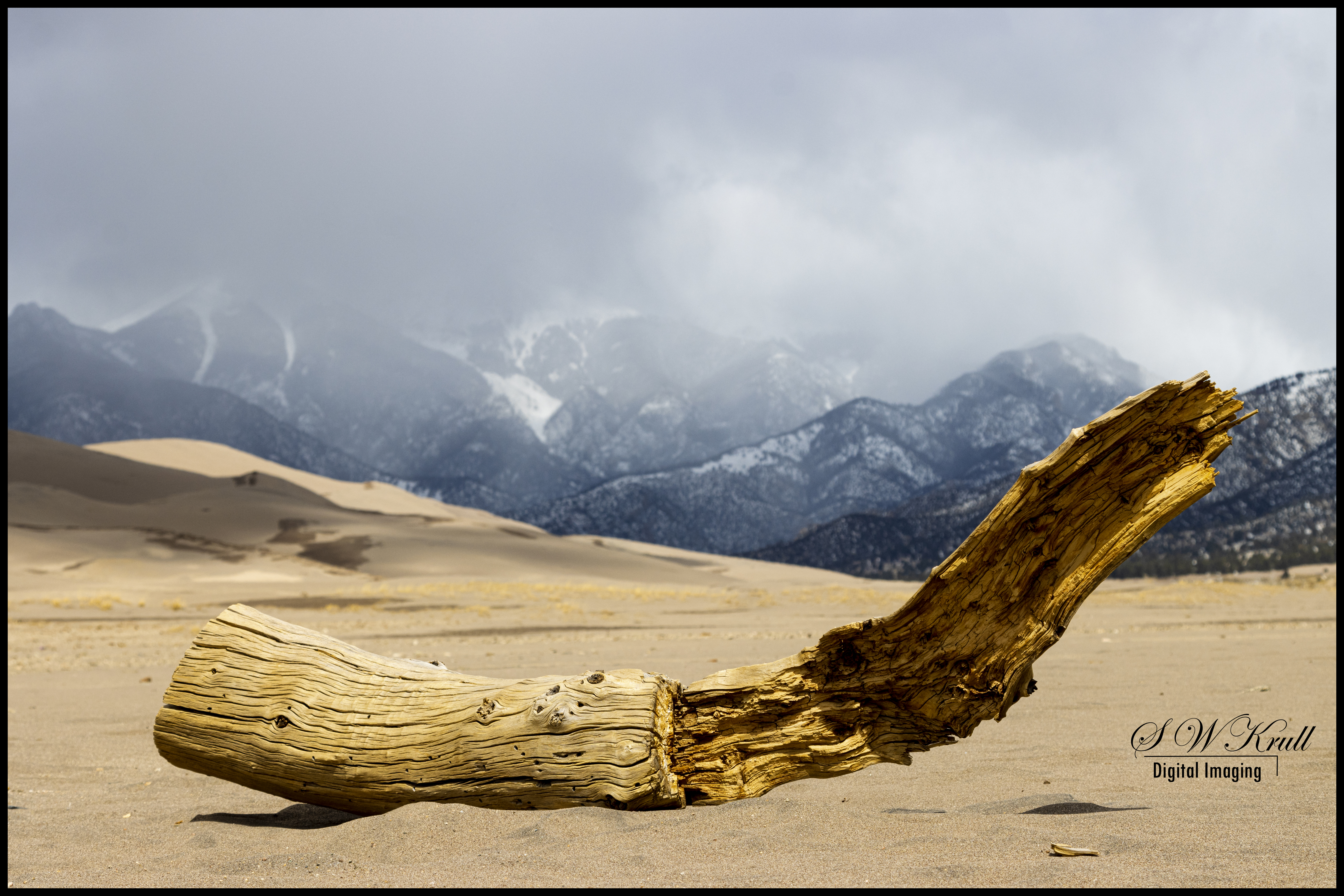 Great Sand Dunes National Park and Preserve