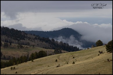 Foggy Pike National Forest