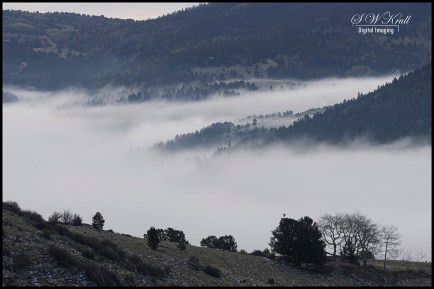 Fog on the Mountain