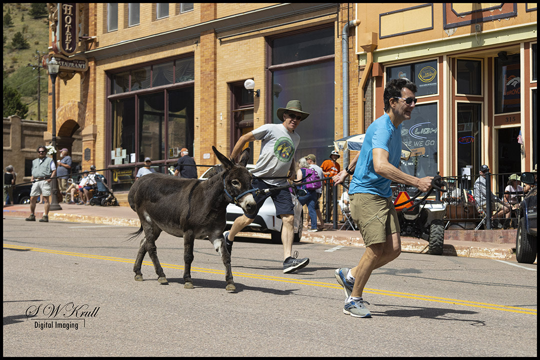 Victor Colorado Burro Races