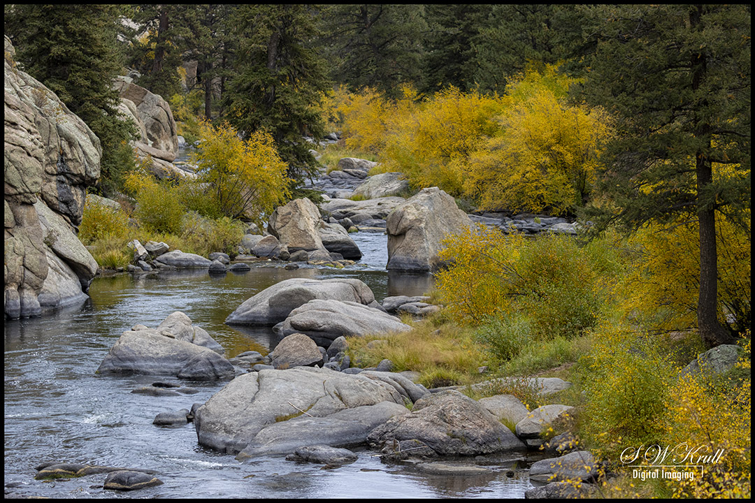 Autumn in Eleven Mile Canyon