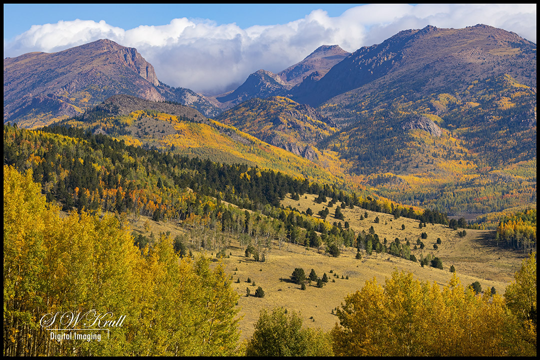 Gold in Mine Country