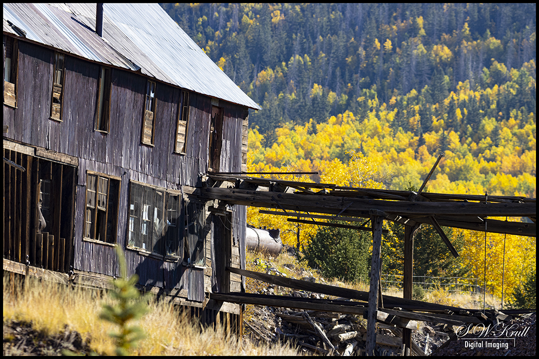 Gold Mine in Autumn