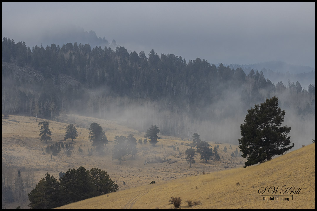 Fog in the Mining District