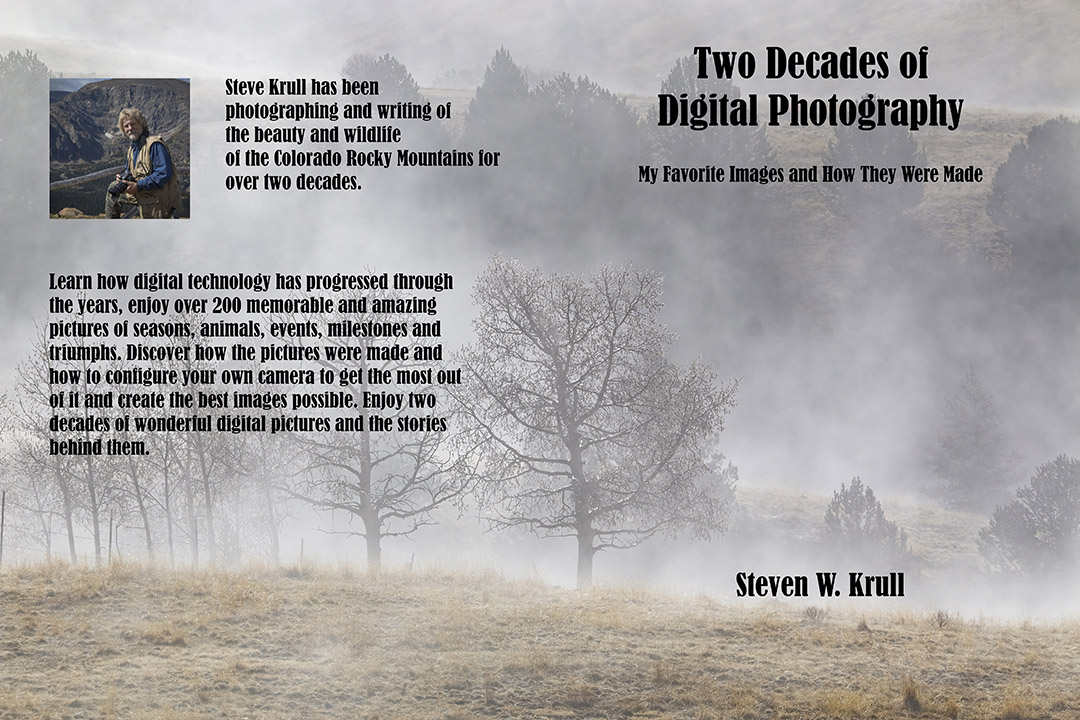 Ghostly Figures in Foggy Mine Country