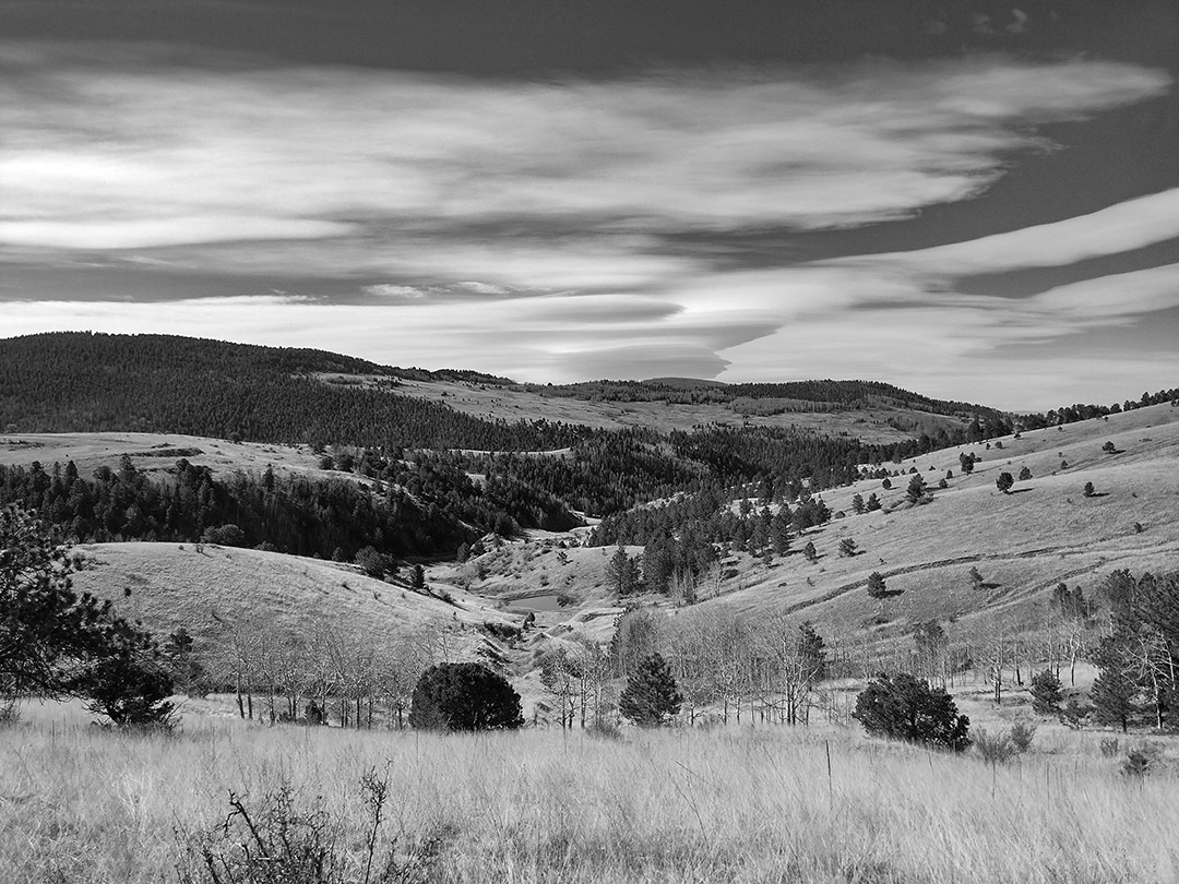 Lenticular Clouds