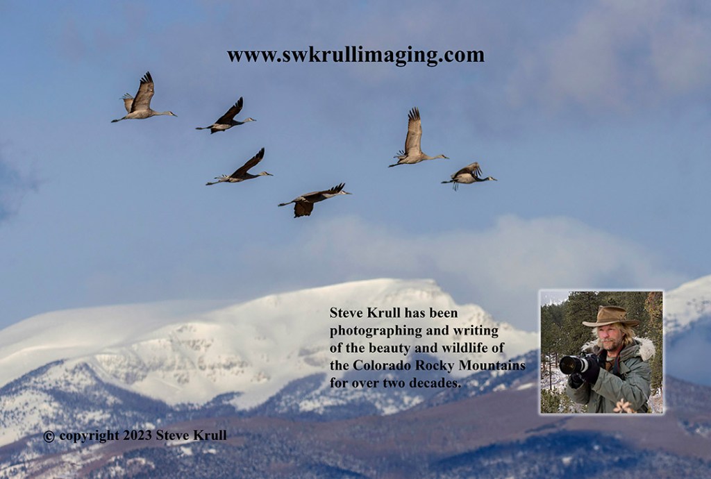 Back Cover 2023 (flattened)