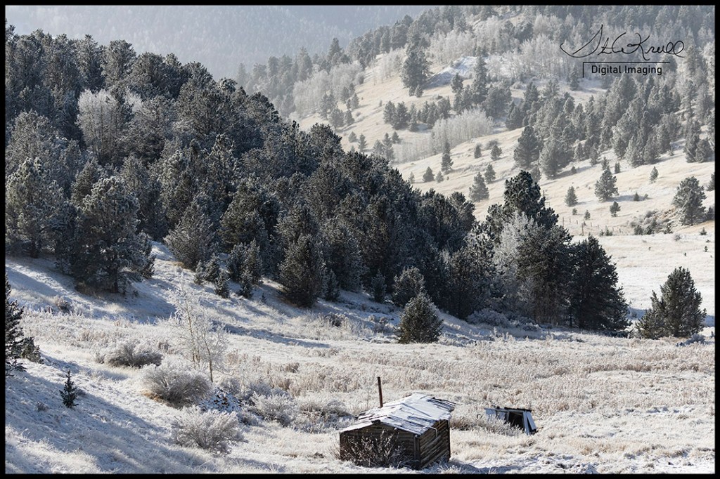 Colorado Winter Wonderland