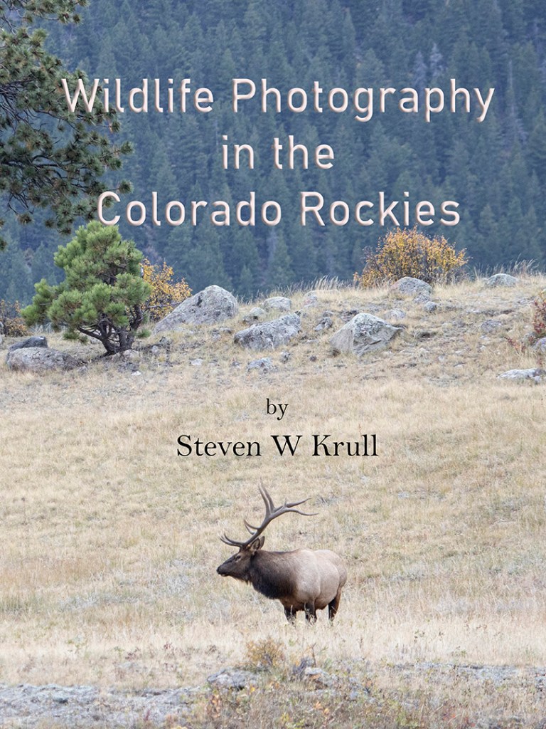 Wildlife Photography in the Colorado Rockies