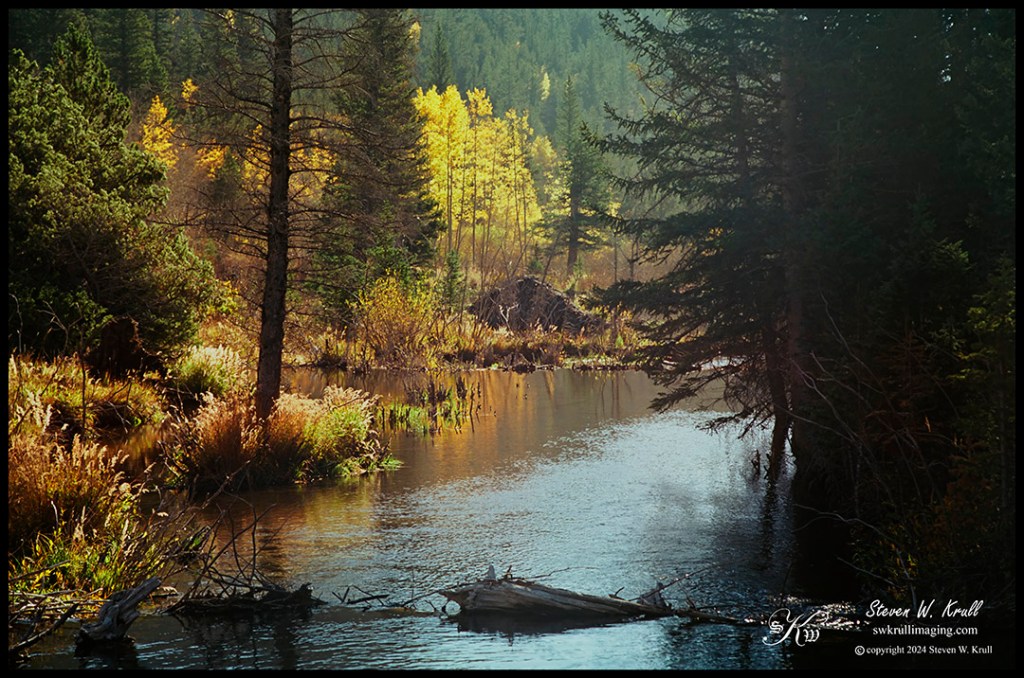 Colorado Autumn