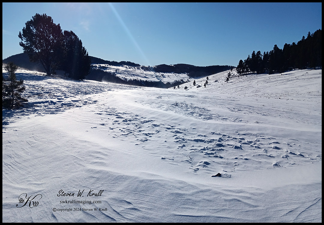 Winter Wonderland
