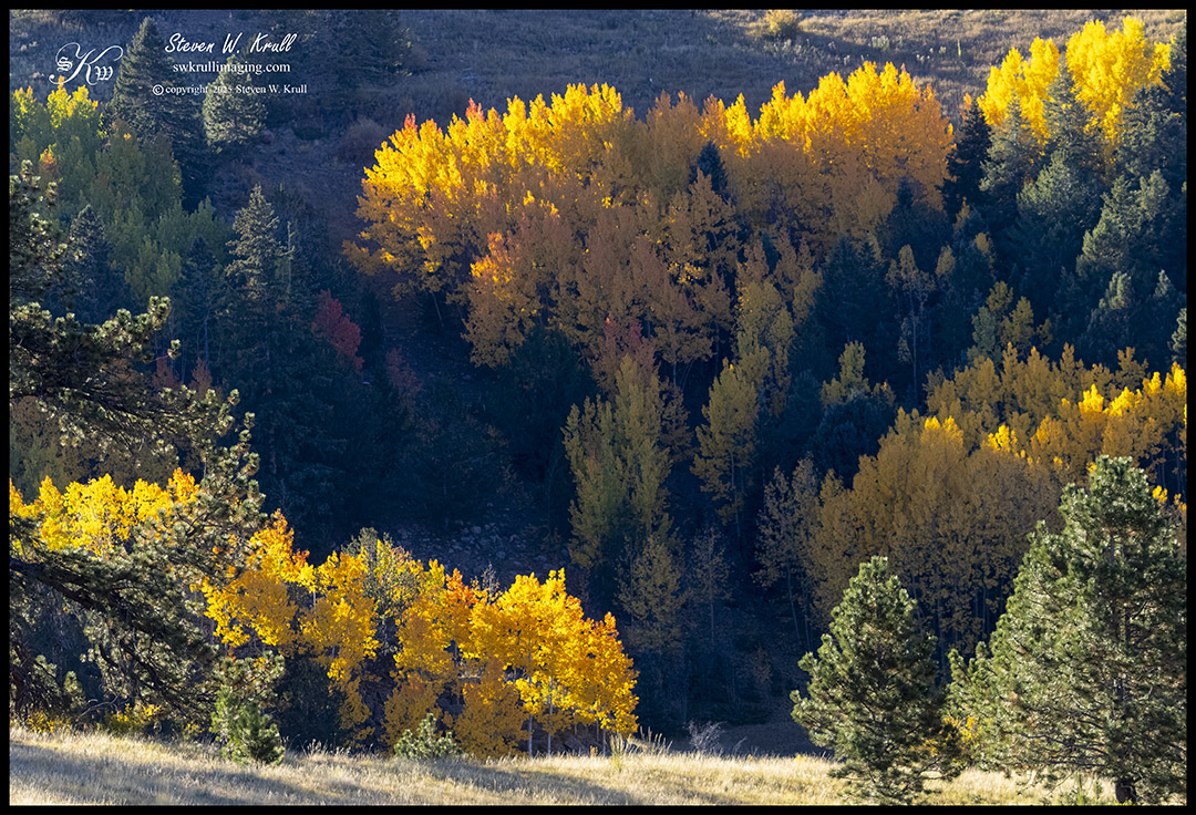 Autumn in Victor