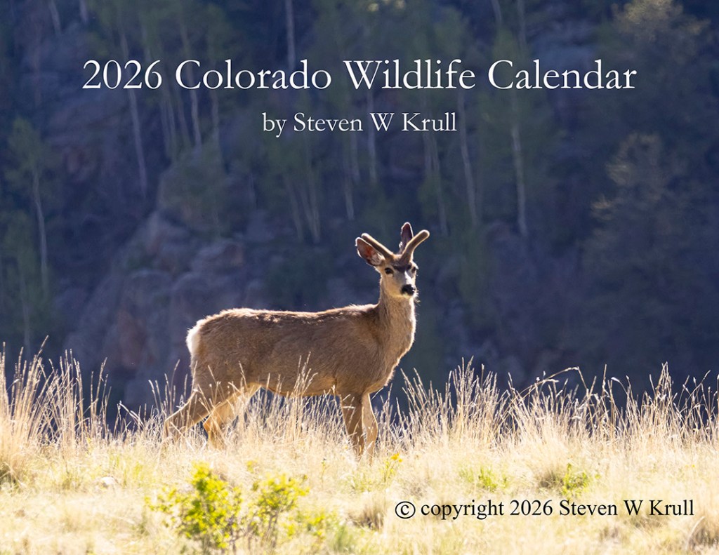 2026 Colorado Wildlife Calendar
