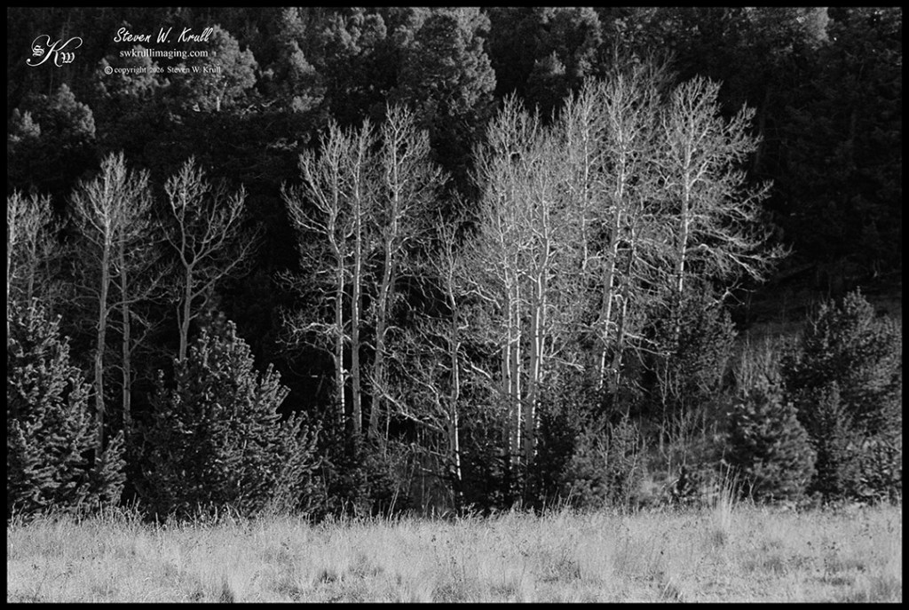 Monochrome Pikes Peak Region