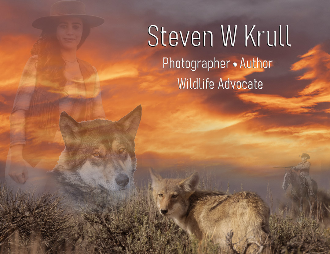War on Wildlife Photographer Author(Facebook Cover)