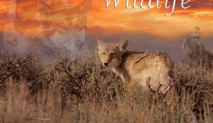 The War On Wildlife Cover