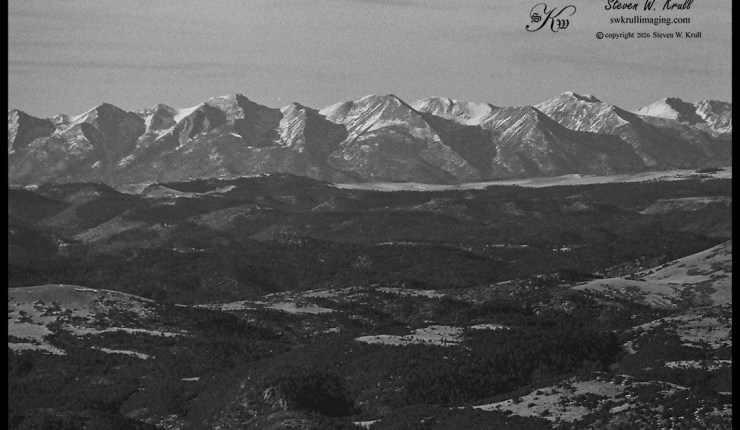 Ilford Delta Film by #swkrullimaging